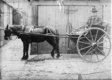 Simon Holmes horse and carriage.