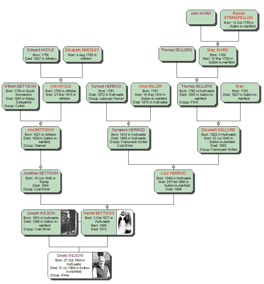 Bettison family tree
