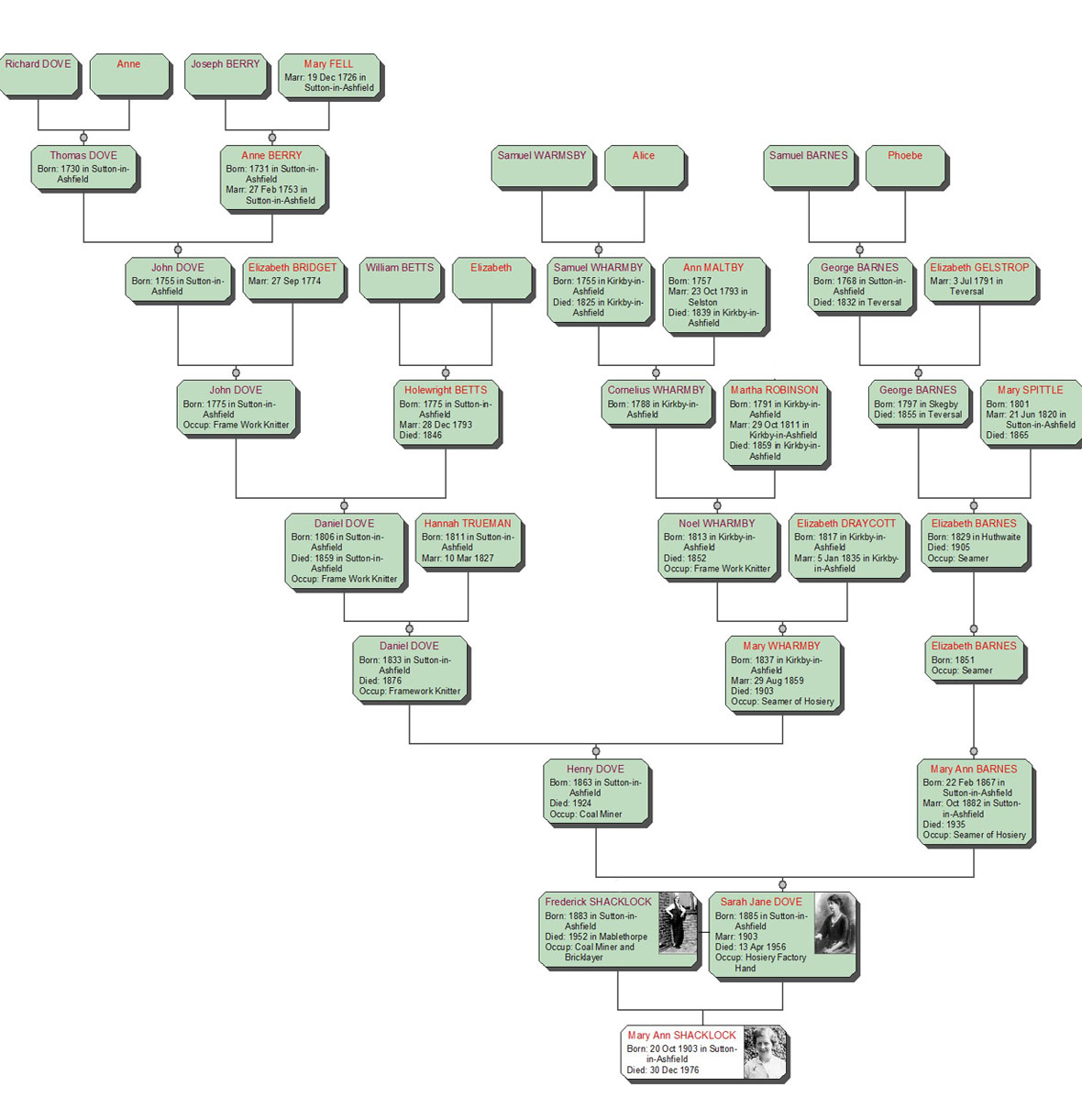 Dove family tree