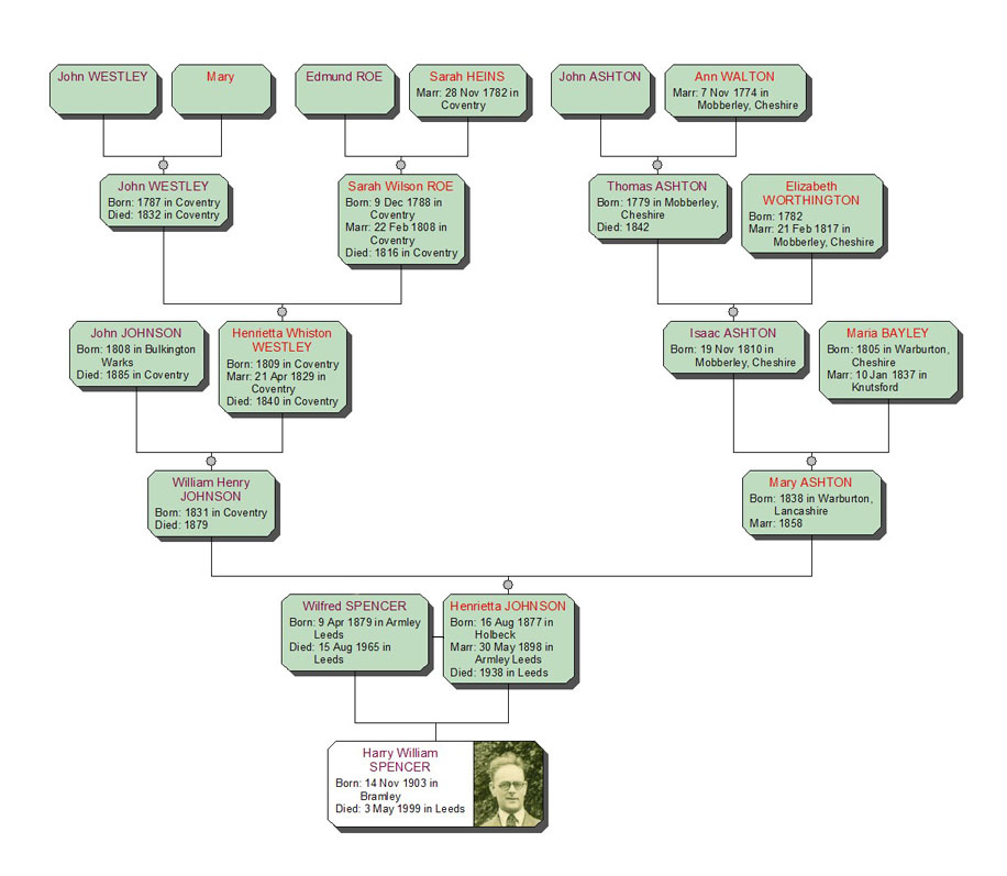 Johnson family tree
