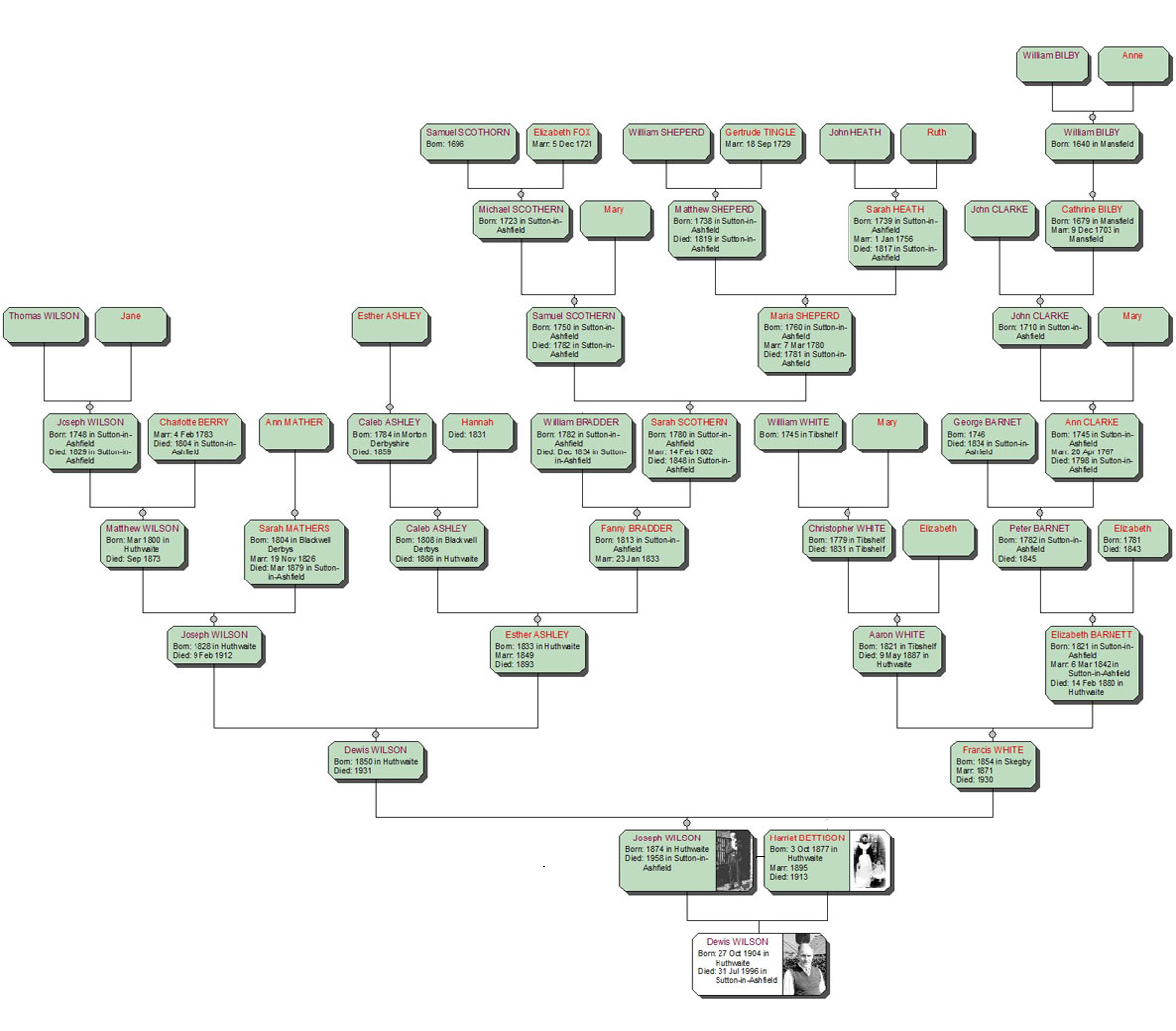 wilson family tree